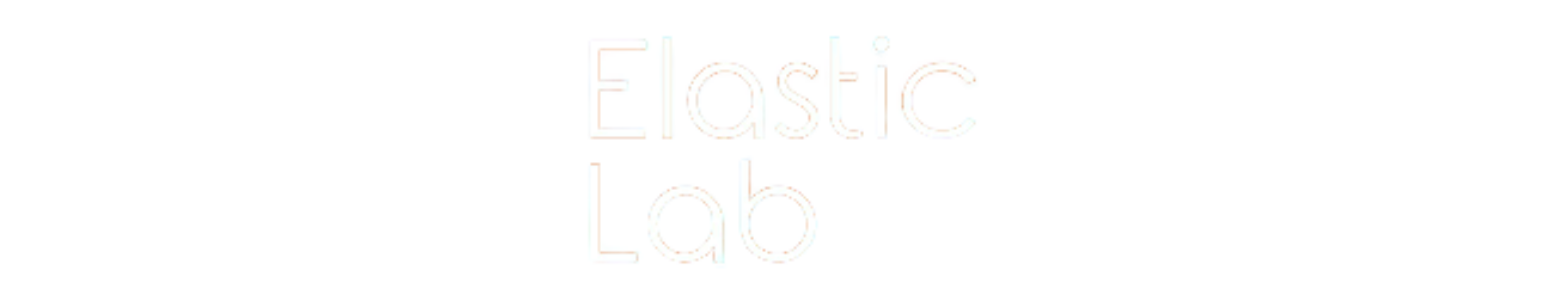 Elastic Lab